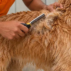 Dematting