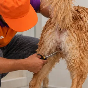 Hygiene Trim