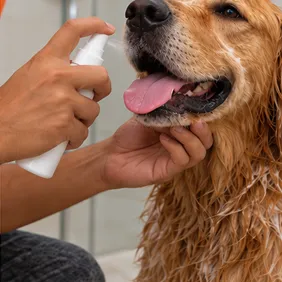 Mouth Spray