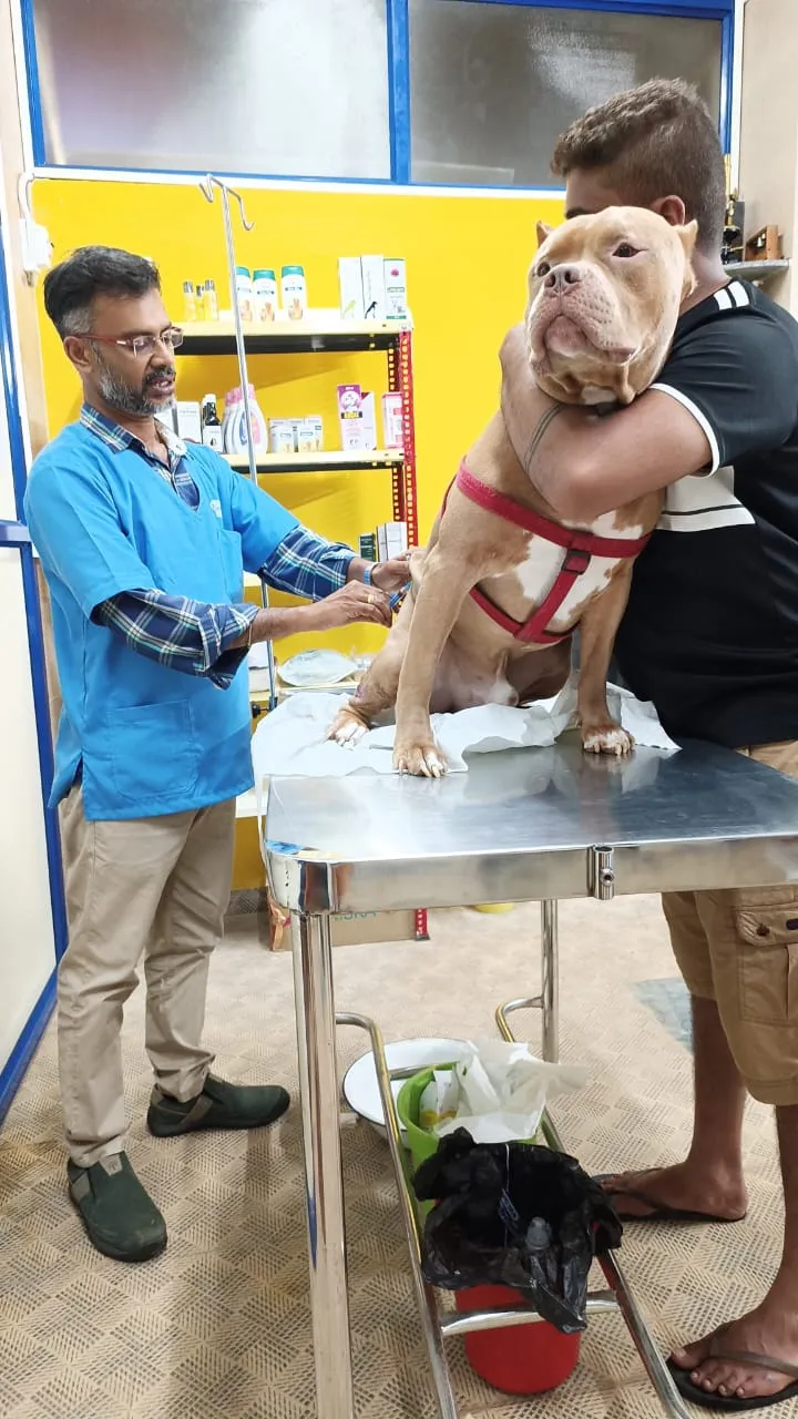 #108 PET CLINIC photo
