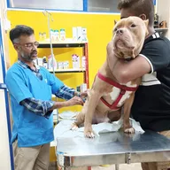 #108 PET CLINIC photo