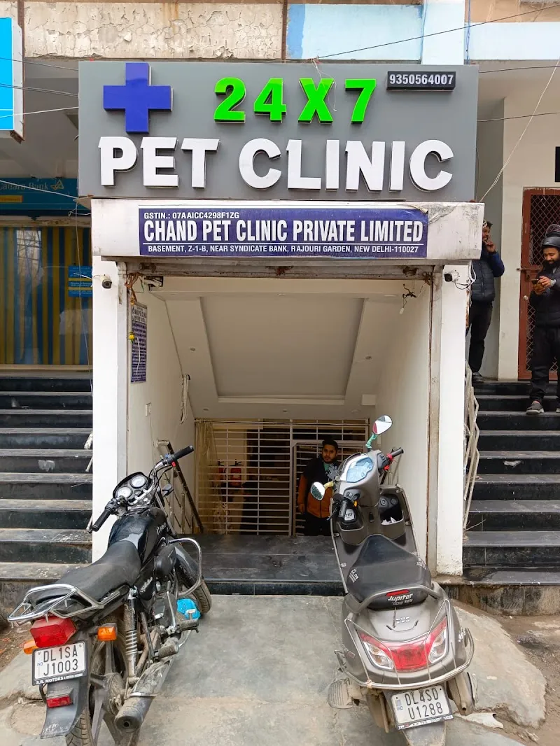 24×7 Pet Clinic photo