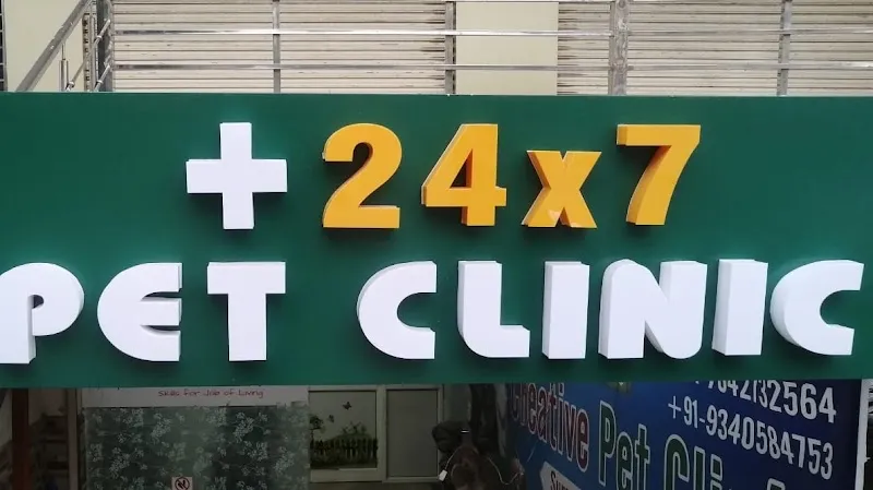 24X7 PET CLINIC photo