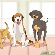 A TO z pet clinic photo