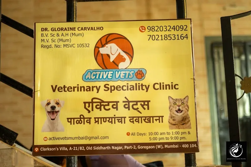 Active Vets | Veterinary Speciality Clinic | Dr. Gloraine Carvalho | Goregaon West photo