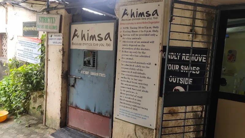 Ahimsa Veterinary Clinic photo