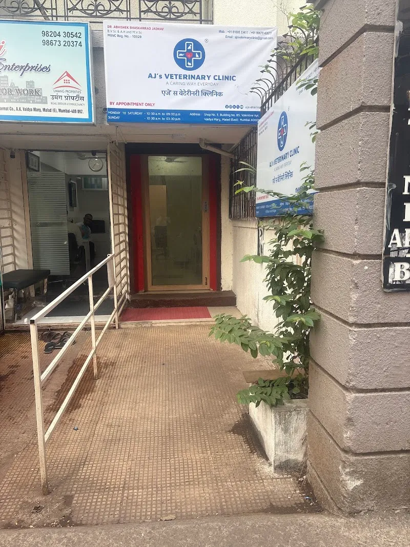 AJ’s Veterinary Clinic photo
