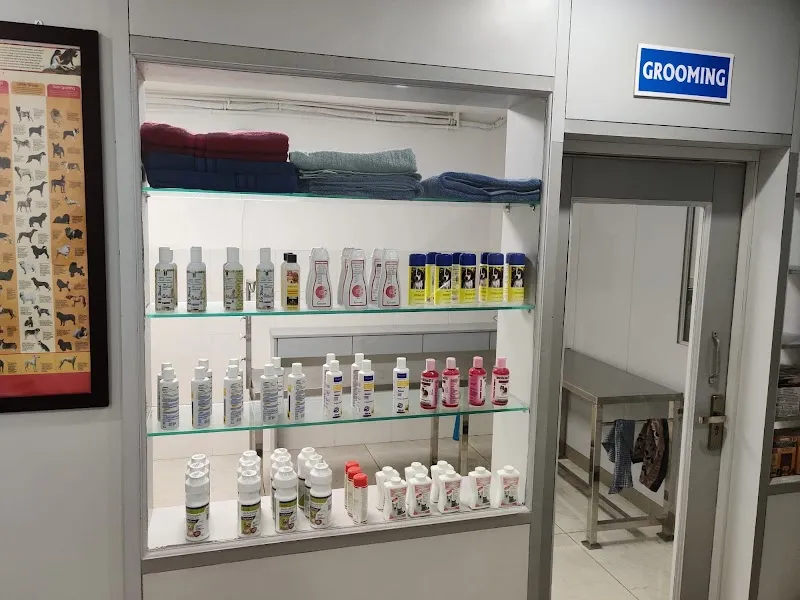 Alaknanda Pet Clinic photo