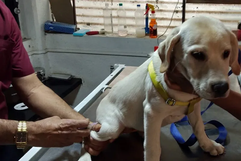 All for Pets – Dr Satish Gore photo