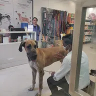 Alphapet Veterinary Hospital photo