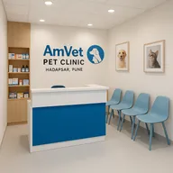 AmVet Pet Clinic photo