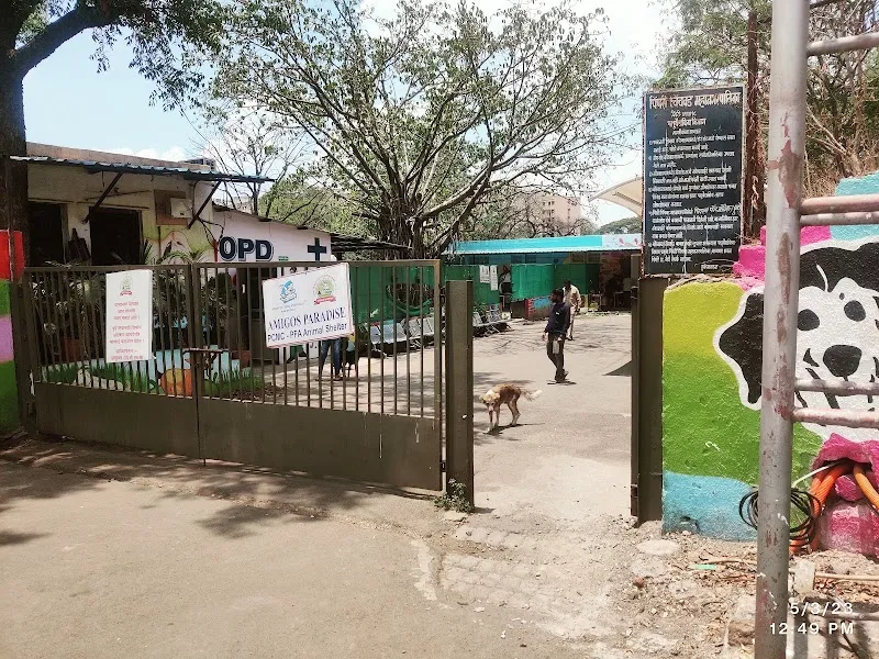 Animal government hospital PCMC photo