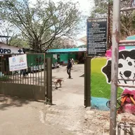 Animal government hospital PCMC photo