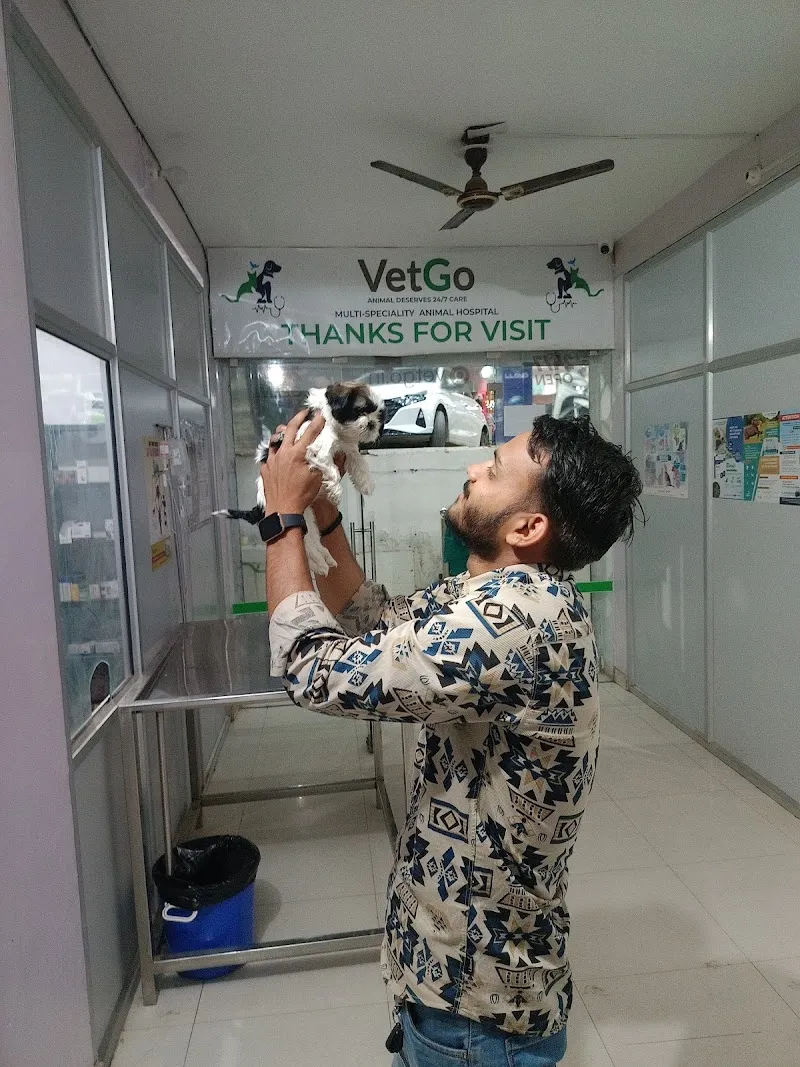 Animal Hospital photo