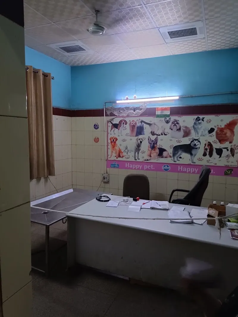 Animal Hospital, Tis Hazari, Delhi Government photo