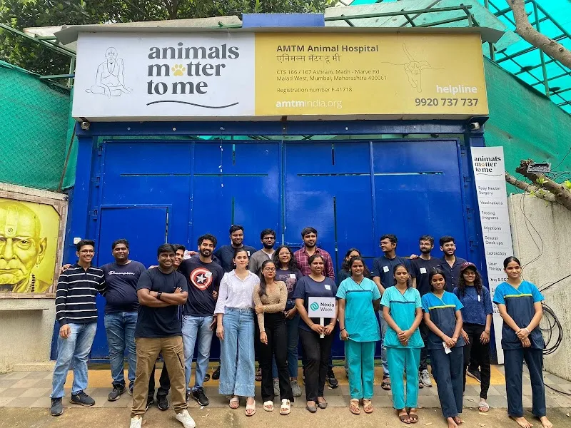 Animal Matter To Me (AMTM) – Animal Hospital photo