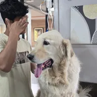 Animal Medical Services photo