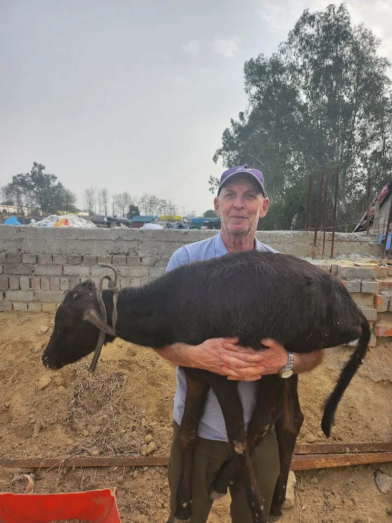 Animal Shelter Alipur NGO Pehal Ek Jeevan Ki photo
