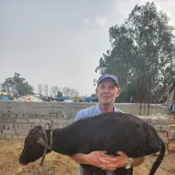 Animal Shelter Alipur NGO Pehal Ek Jeevan Ki photo