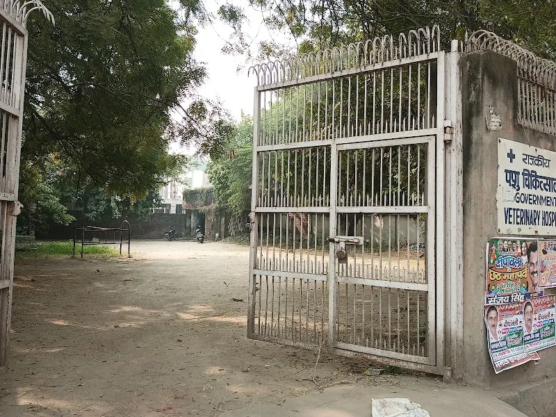 Animal/ Veterinary Hospital (पशु चिकित्सालय) photo