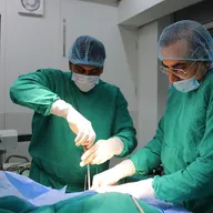Animalia 24X7 Vet Care photo