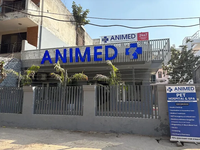 Animed Veterinary Clinic Gurgaon photo
