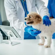 ANIMOL PETS & ANIMALS CLINIC photo
