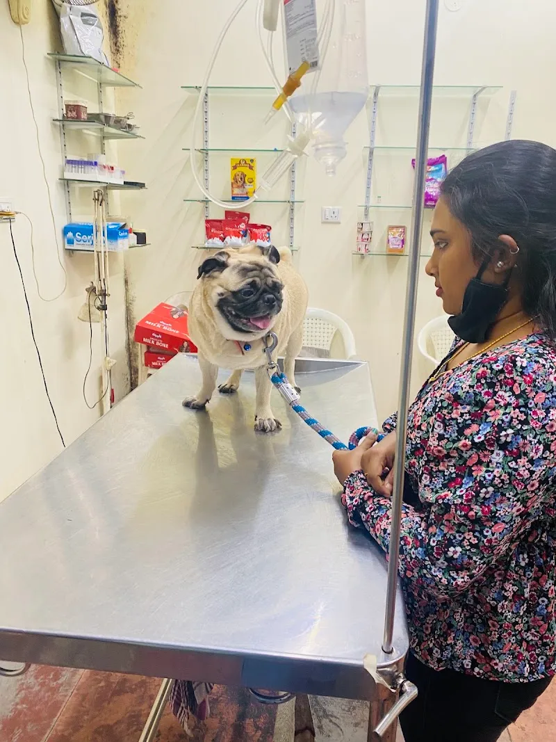 Anu Pet Clinic photo