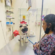 Anu Pet Clinic photo