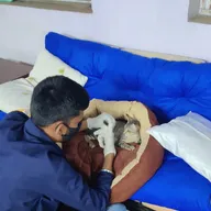 Anytime Vetstore photo