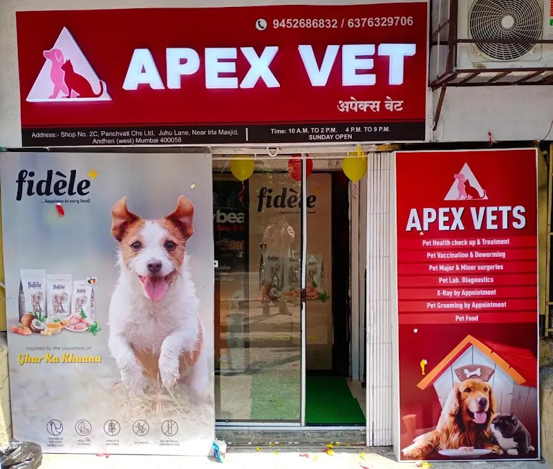 APEX VETS CLINIC photo