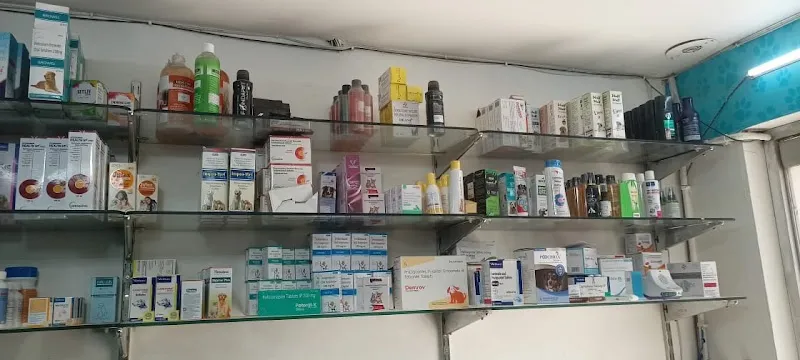 Ashish Pet’s Clinic photo