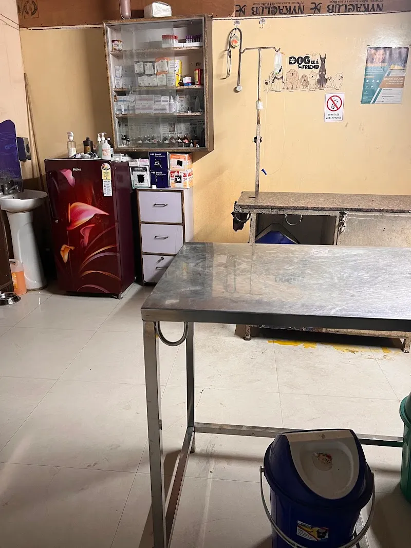 Asia Pet Clinic photo