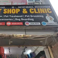 Asia Pet Shop & Clinic – puppies for sale photo
