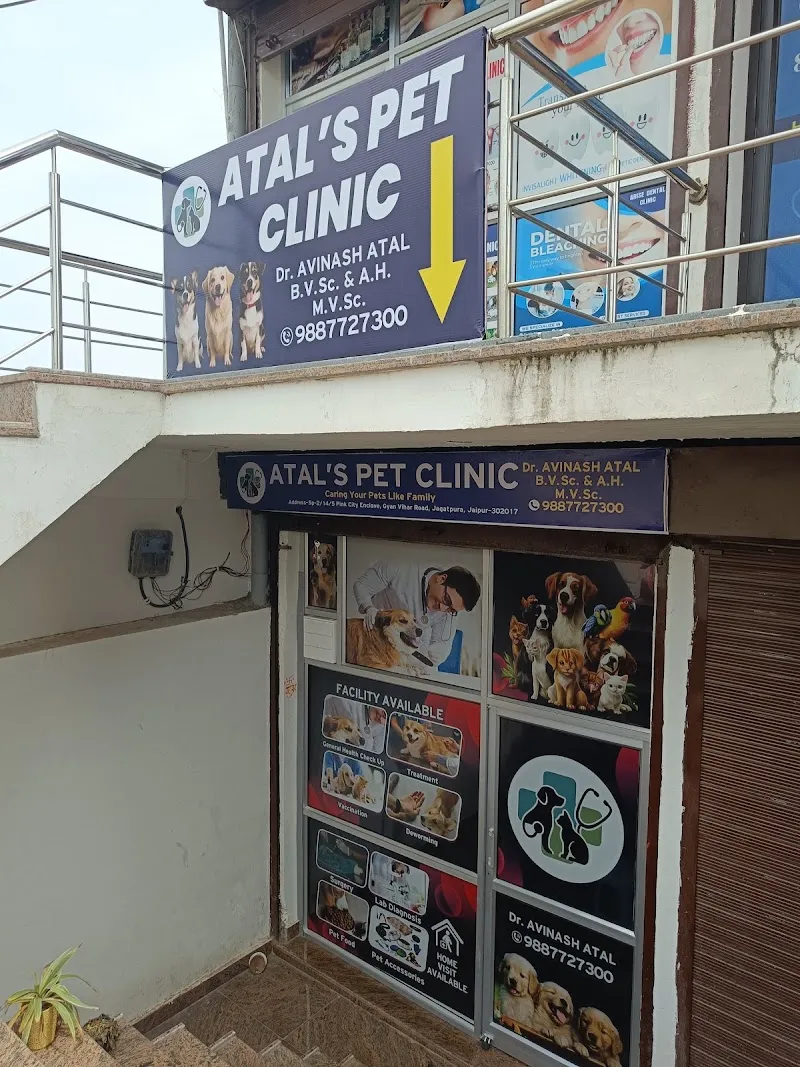 ATAL’S PET CLINIC photo