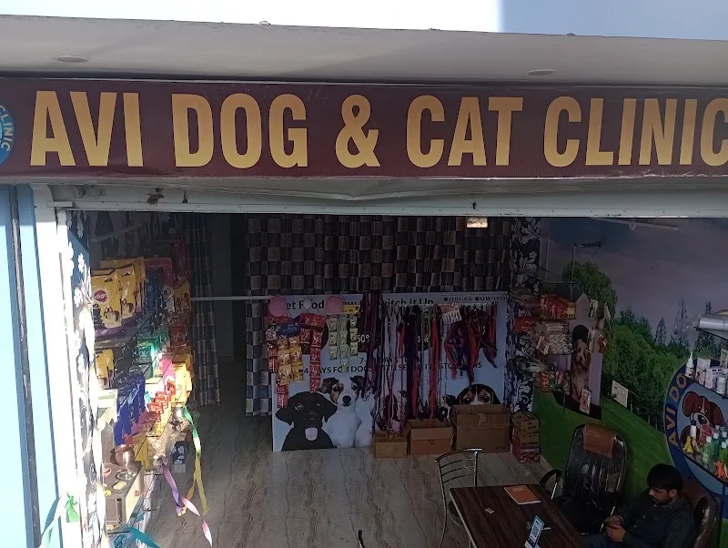 Avi Dog and Cat Clinic photo