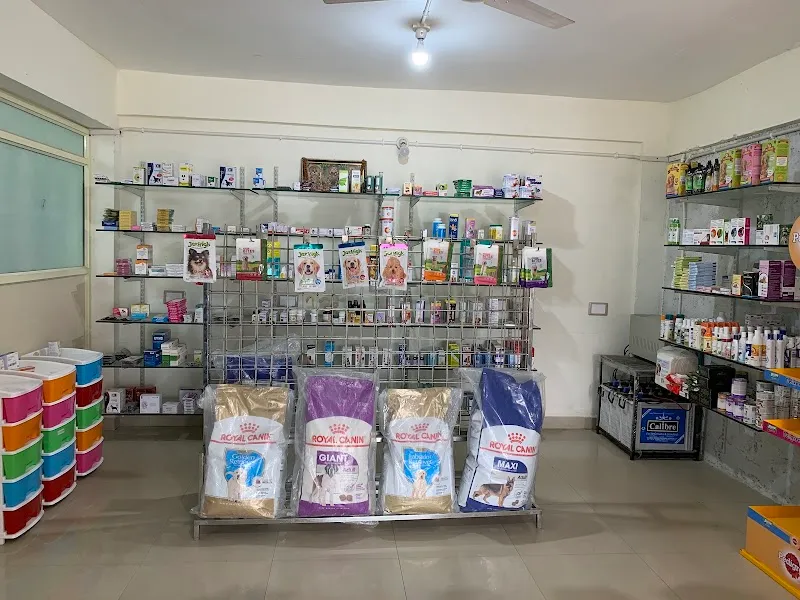 Bangalore Pet Hospital (Kadugodi Branch) photo