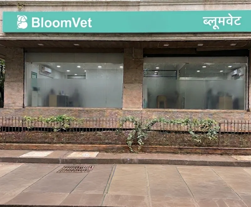 BloomVet Goregaon photo