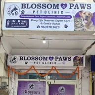 Blossom & Paws pet clinic photo