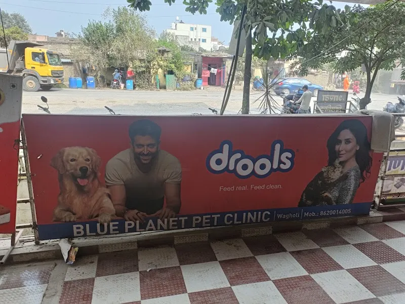 Blue Planet Pet Clinic photo