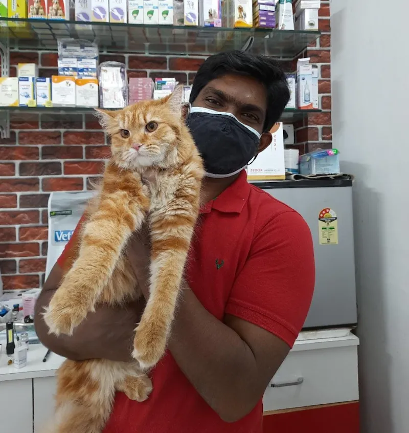 Blue Pulse Pet Clinic photo