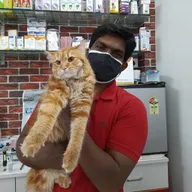 Blue Pulse Pet Clinic photo