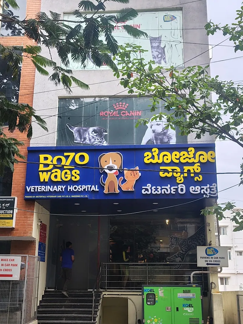 Bozo Wags Veterinary Hospital & Pet Services photo