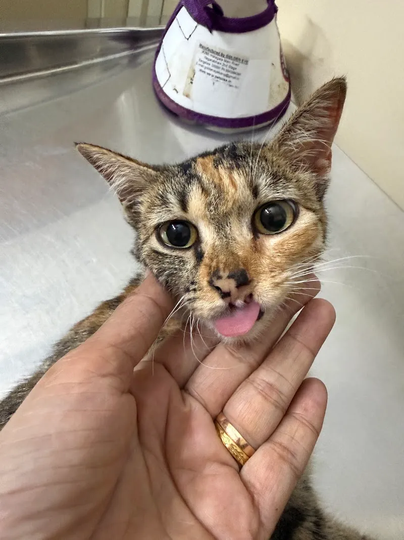 BTM VET clinic photo
