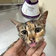 BTM VET clinic photo