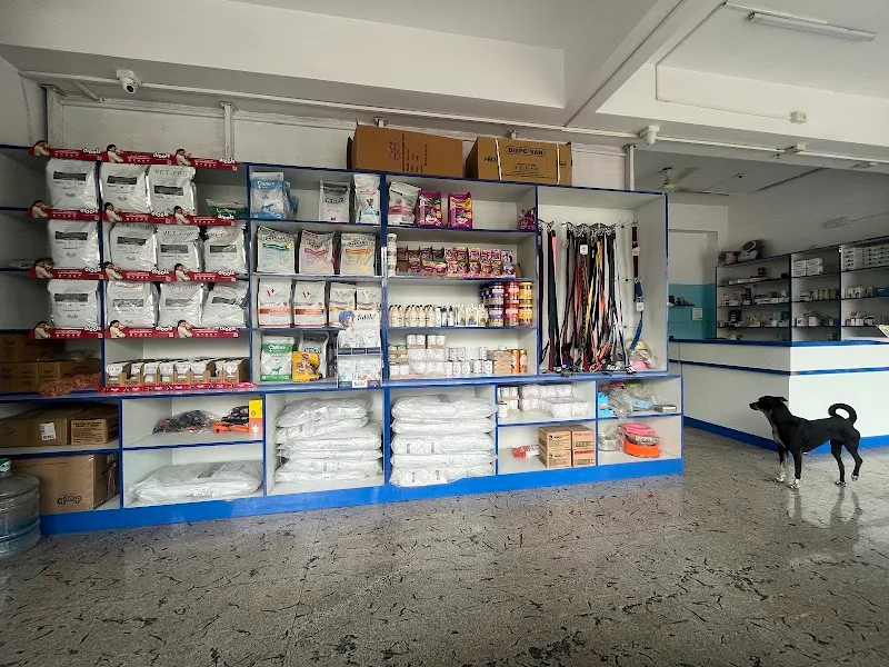 Cancure Pet Hospital Kacharakanahalli photo