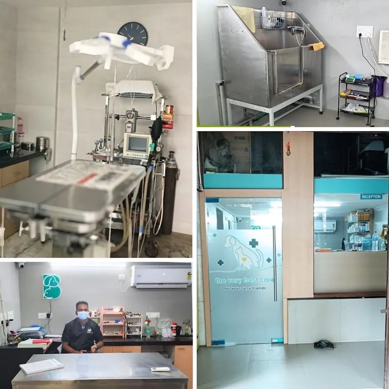 Canids Veterinary Centre – Dr Pradnya S Pethe photo