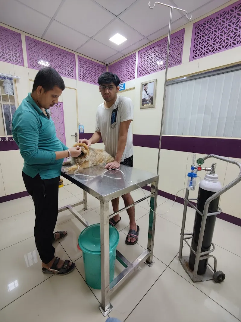Capital Vets – Pet clinic, Greater Noida photo
