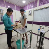 Capital Vets – Pet clinic, Greater Noida photo