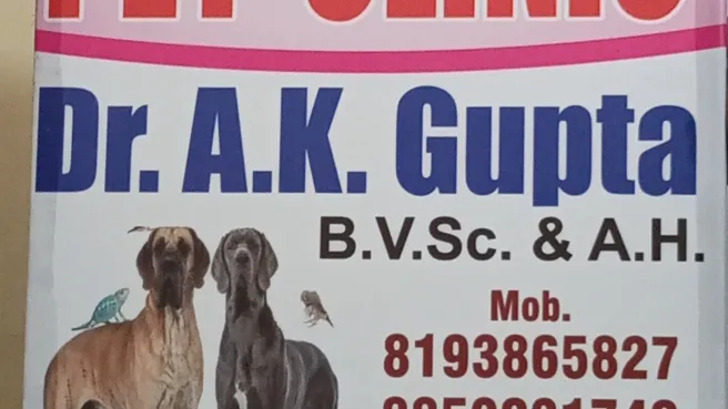 Care Welfare Pet Clinic photo